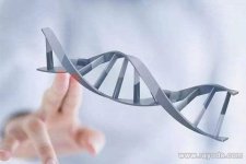 试管婴儿成功率上柬埔寨试管婴儿比我们国家高吗？