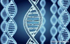 柬埔寨三代试管婴儿什么时候开展的？技术成熟吗？