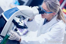 泰国试管婴儿中介机构怎样选择？甄别正规中介有3个小妙招