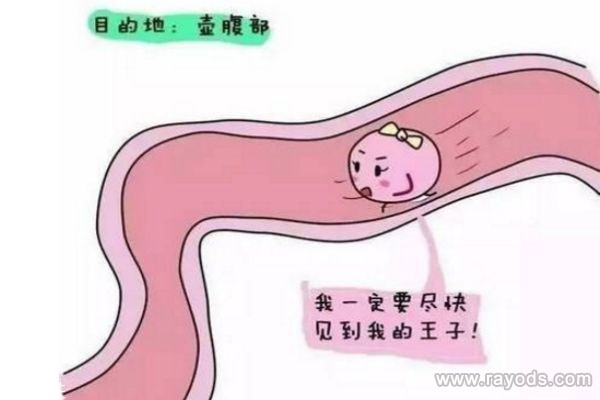 排卵日小腹痛