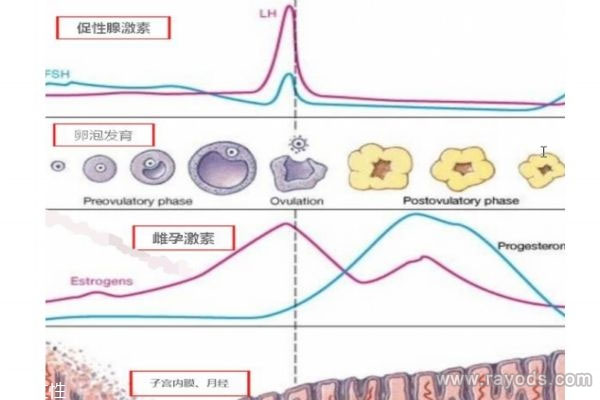 男性精液情况