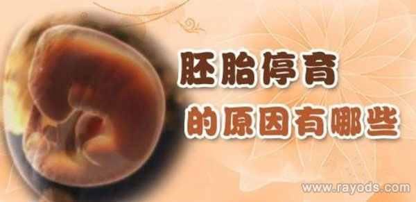 多次胎停