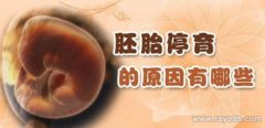 针对多次胎停的情况，美国试管技术如何有效规避?