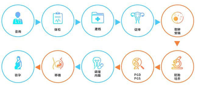 试管婴儿流程