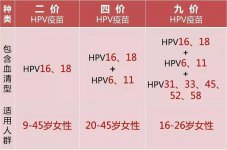 为什么医生建议不满16周岁的女性打二价疫苗？