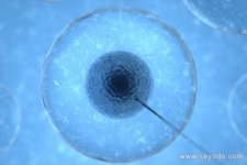 上海公立医院做人工受精前期检查大概多少钱？