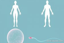 北京三院哪个大夫做试管婴儿技术最好？