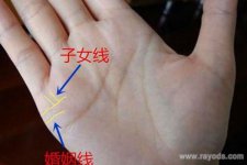 民间通过子女线判断男女的说法,握拳看男女准不准?
