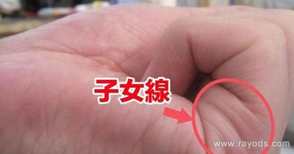 通过子女线的长短、粗细判断男女