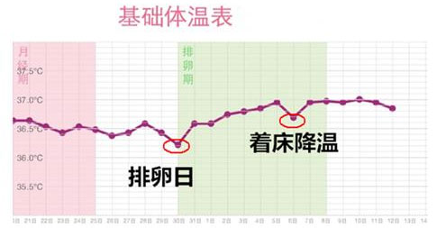 着床降温变化图