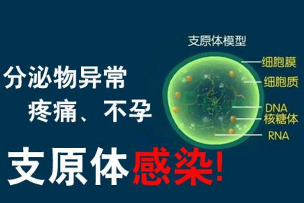 支原体感染