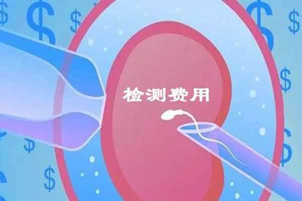 检测费用