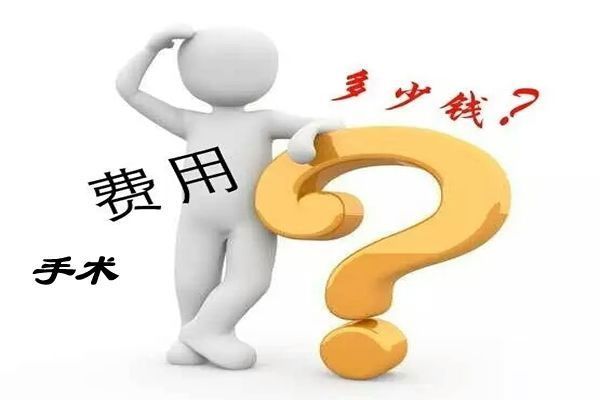 手术费用
