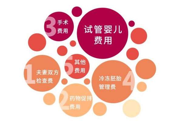上海做试管婴儿大约需要多少钱