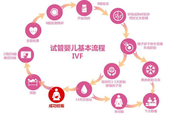 江西试管婴儿流程