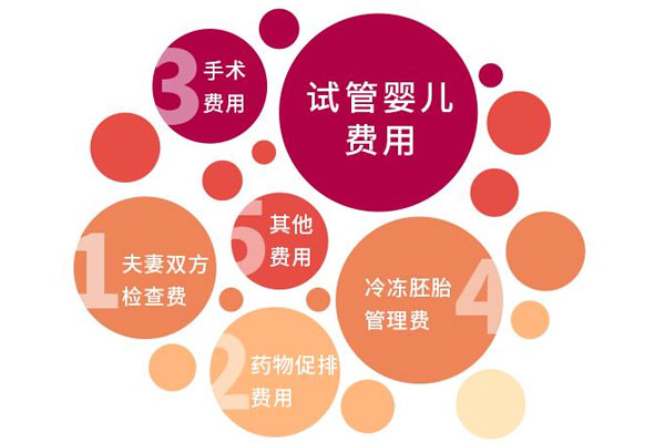 试管婴儿多少钱