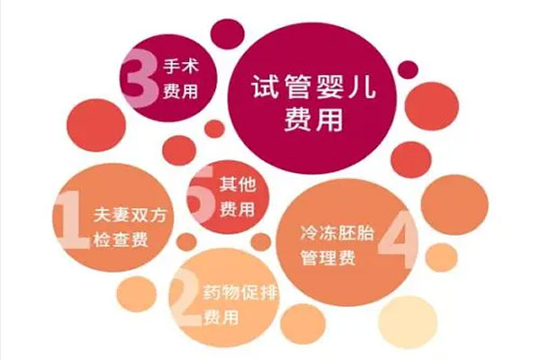 试管婴儿费用