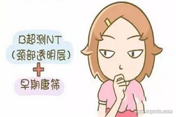nt检查的流程