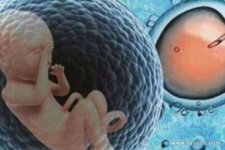 2021年国内试管婴儿成功率如何/是多少？