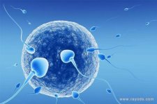 做试管婴儿应该如何选择医院 ? 怎样选择才最合理?