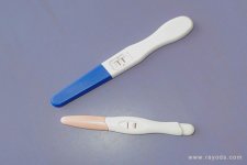 已怀孕的验孕棒图片，自己在家里测测看