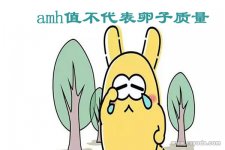 amh值0.41做试管婴儿的成功率高吗？
