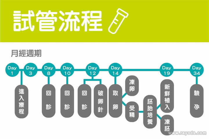 试管婴儿流程