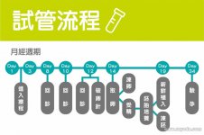 试管婴儿流程大解析，从排卵针到胚胎移植成功