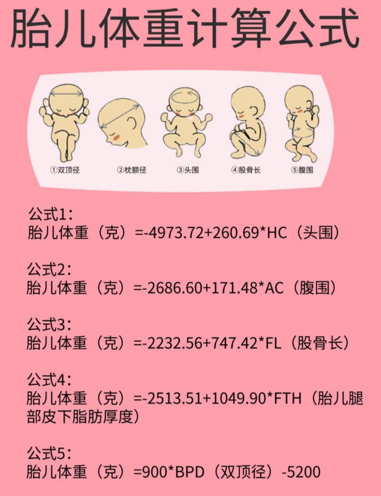 胎儿体重计算公式