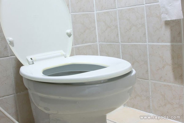 坐便器