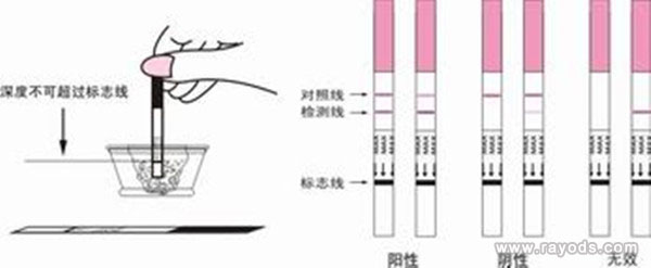 早孕试练看男女第二道