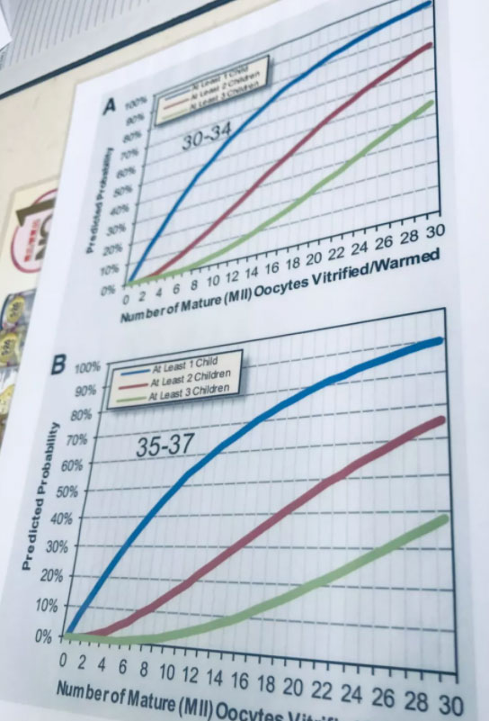 冻卵流程是怎样的