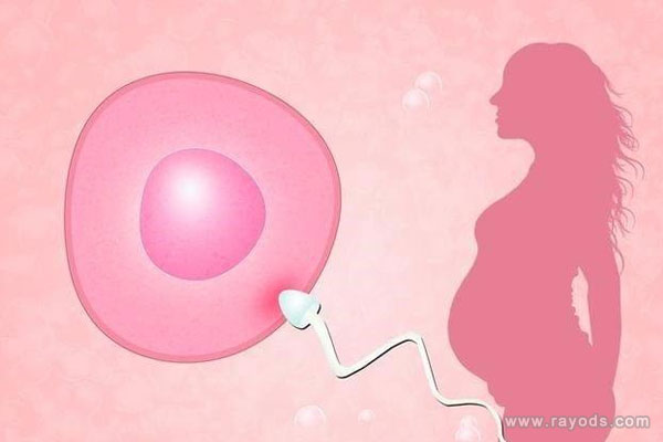 试管婴儿并不能保证龙凤胎一定成功