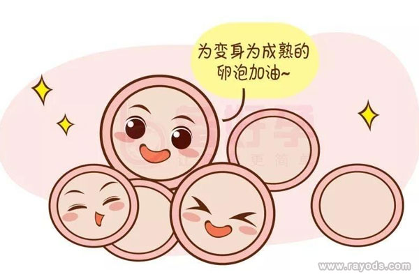 促排卵