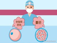 抗缪勒氏管激素偏低咋办，医生教你正确的处理方式