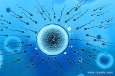 如何增强y精子活力?提高y精子活力的技巧