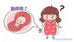 为什么说试管三代基本不会胎停？试管胎停五大原因