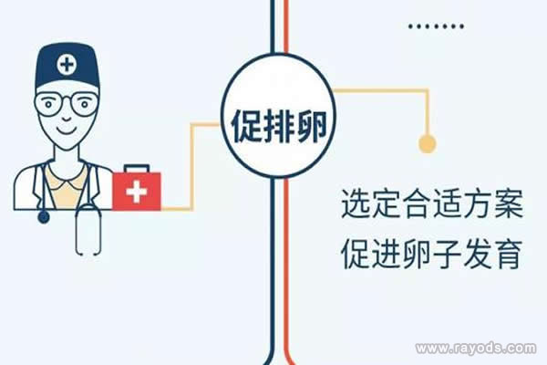 试管婴儿的步骤过程详细图解