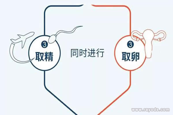 试管婴儿的步骤过程详细图解
