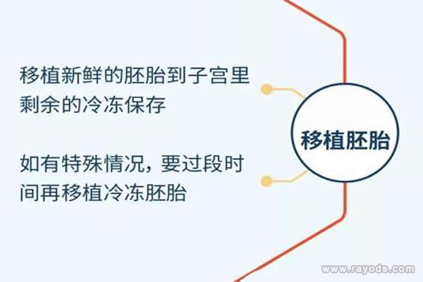 试管婴儿的步骤过程详细图解