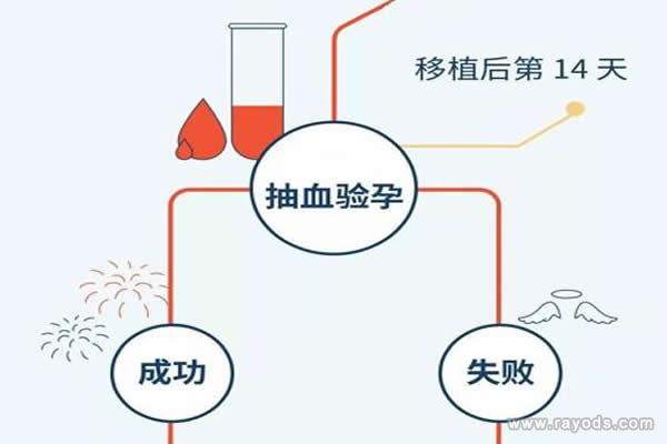 试管婴儿的步骤过程详细图解