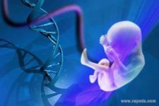 第三代试管婴儿怎么做的全过程7个步骤揭秘
