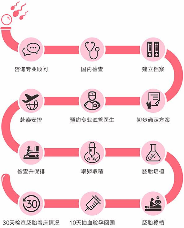 柬埔寨试管婴儿的流程