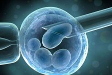 2022珠海哪里能做三代试管婴儿,三代只能选妇幼医院