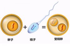 具备这些条件,做美国试管婴儿成功率会高很多