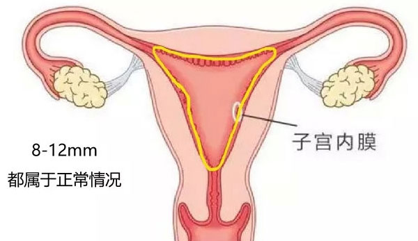 调理子宫