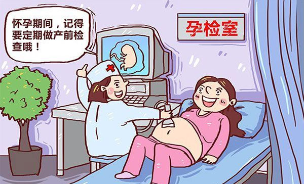 产前必做的项目-nt检查