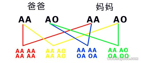 血型遗传规律表是什么