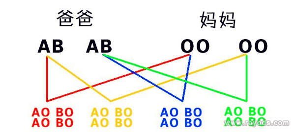 血型遗传规律表是什么