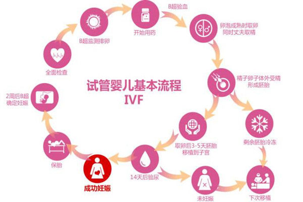 试管婴儿的10大步骤